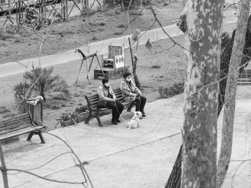 Dal balcone della mia quarantena: gli scatti di Azzurra Primavera raccontano Monte&nbsp;Sacro